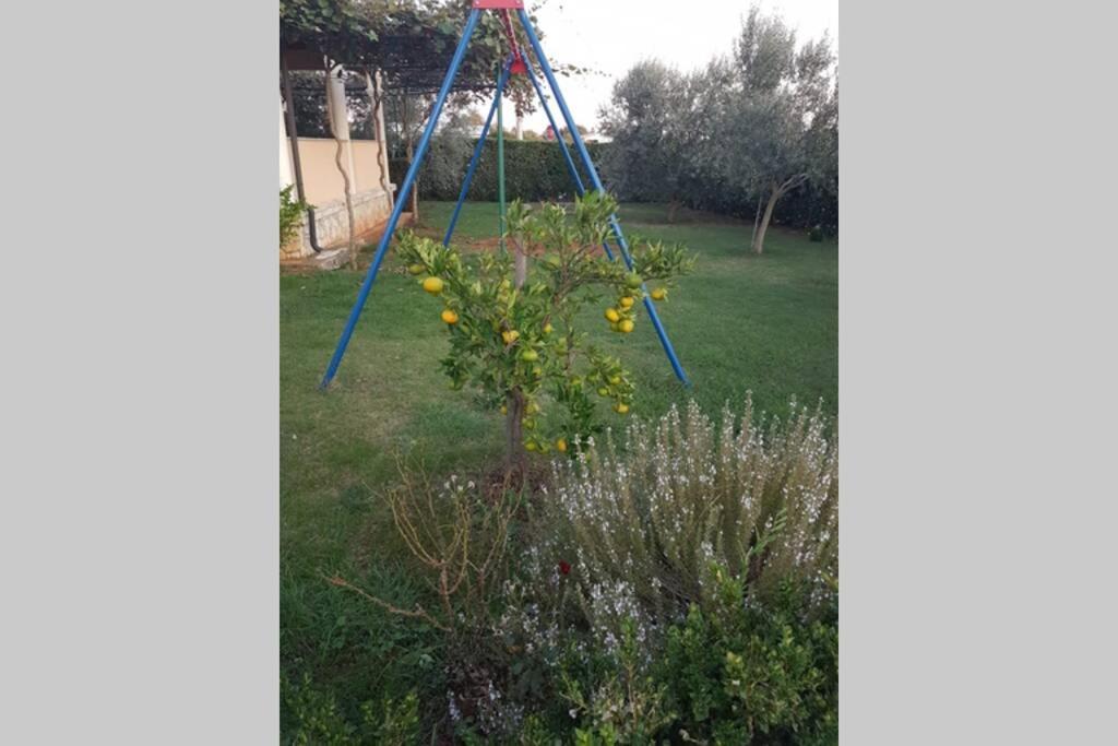 Marčana Comfortable Apartment Near Pula מראה חיצוני תמונה